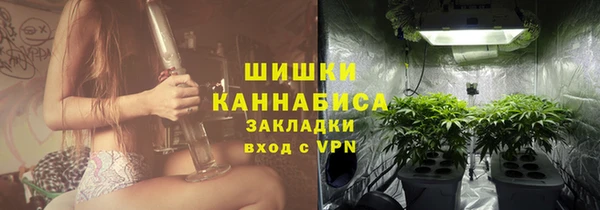 твердый Михайлов