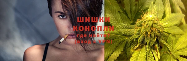 твердый Михайлов