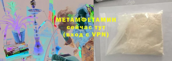 ПСИЛОЦИБИНОВЫЕ ГРИБЫ Гусев