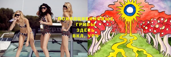 твердый Михайлов