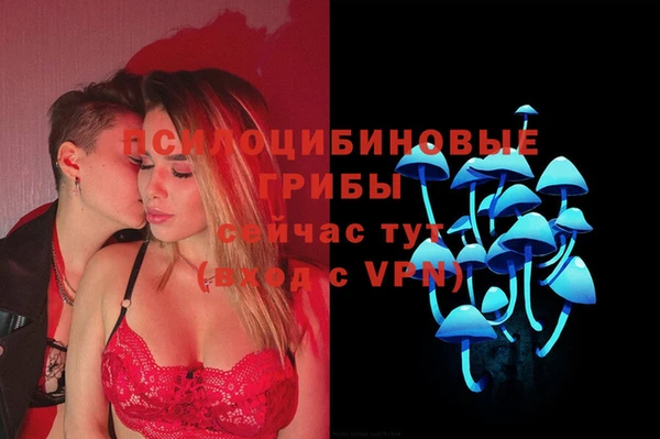 твердый Михайлов