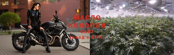 твердый Михайлов