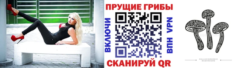 дарнет шоп  Зуевка  Псилоцибиновые грибы MAGIC MUSHROOMS 